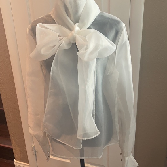 COPY - A white sheer women’s blouse size large - Picture 2 of 8